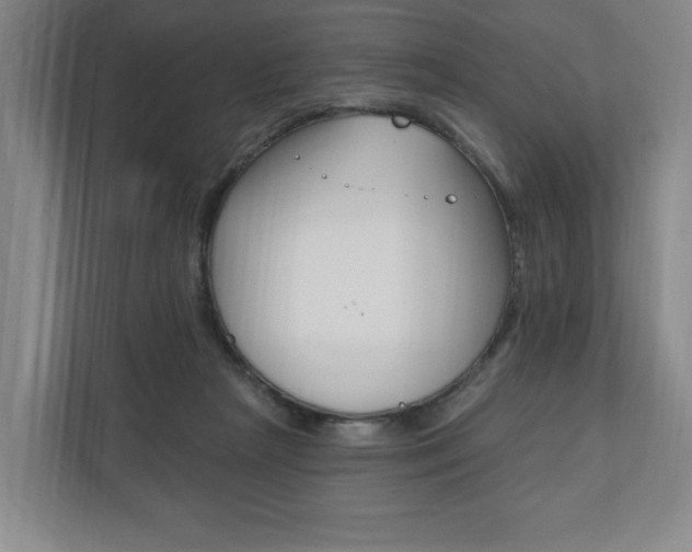 X0000110740265200906150935