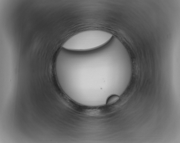 X0000110740266200906150935