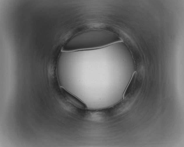 X0000110740268200906150935