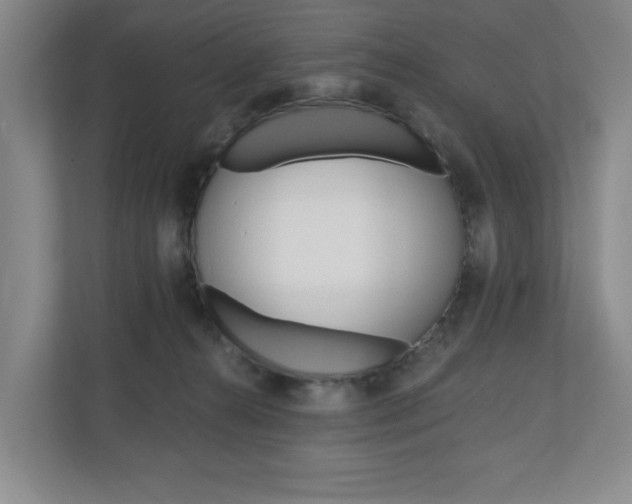 X0000110740272200906150935