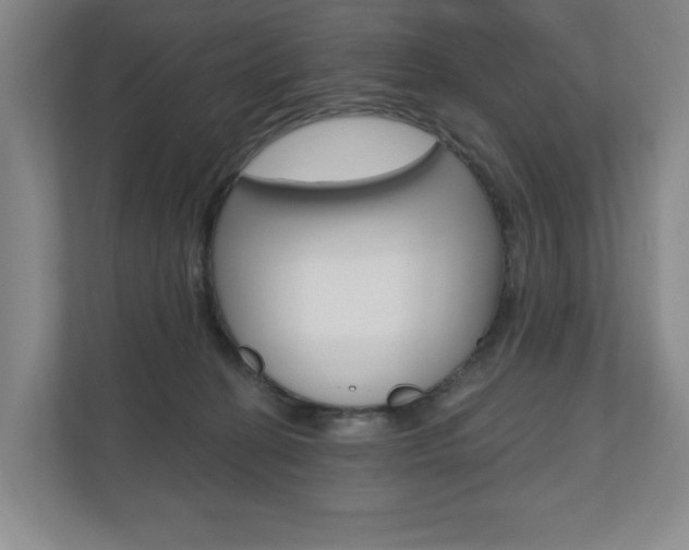 X0000110740274200906150935