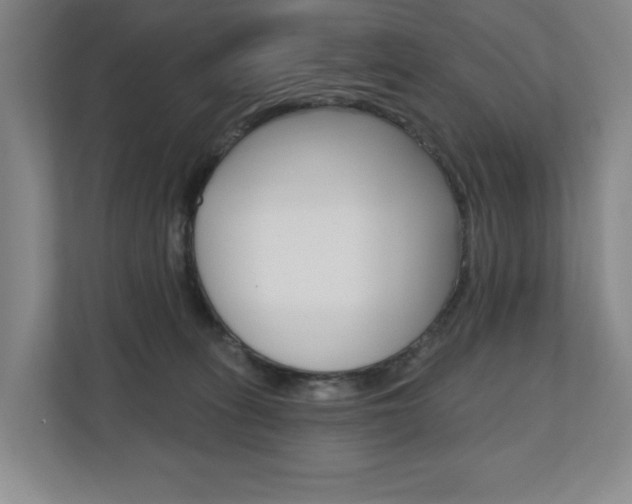 X0000110740275200906150935