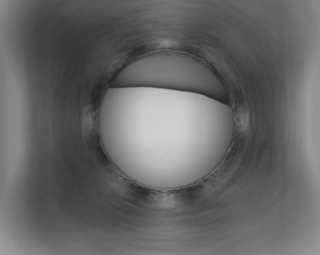 X0000110740276200906150935