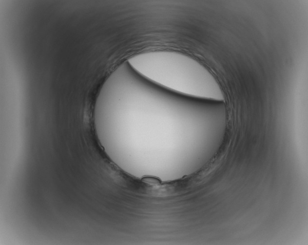 X0000110740277200906150935