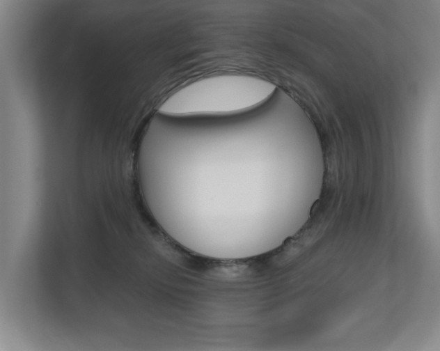 X0000110740278200906150935