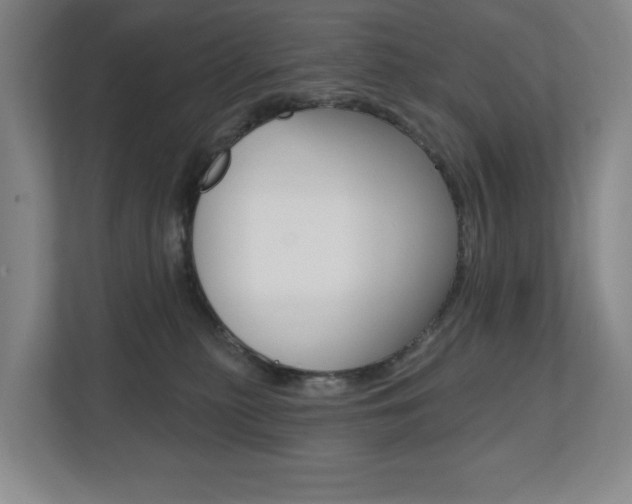 X0000110740279200906150935