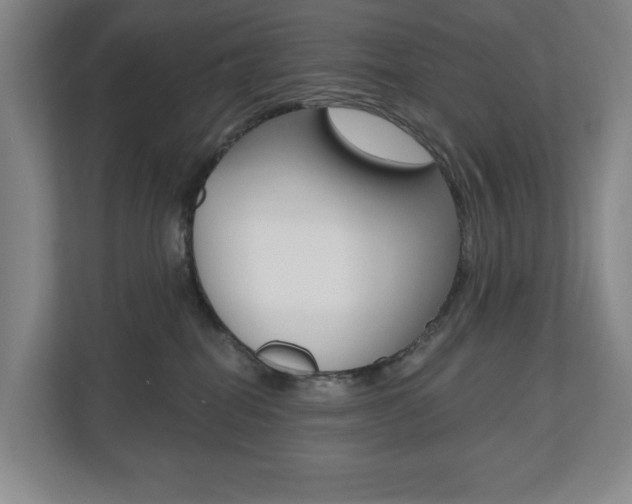 X0000110740282200906150935