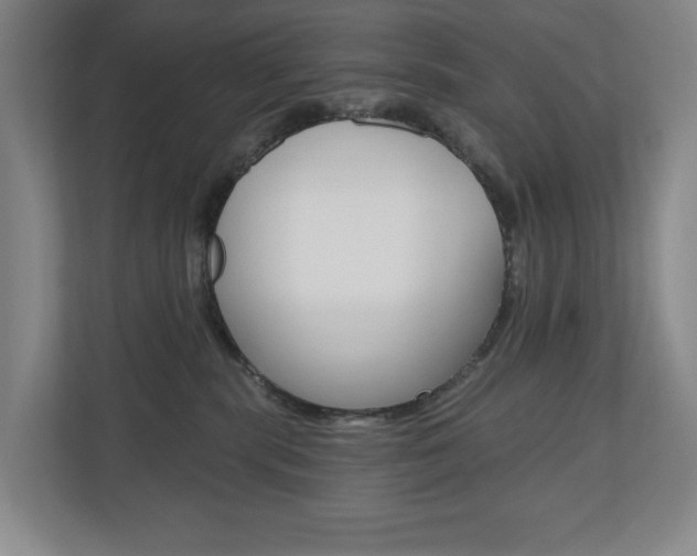 X0000110740283200906150935