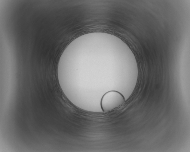 X0000110740284200906150935