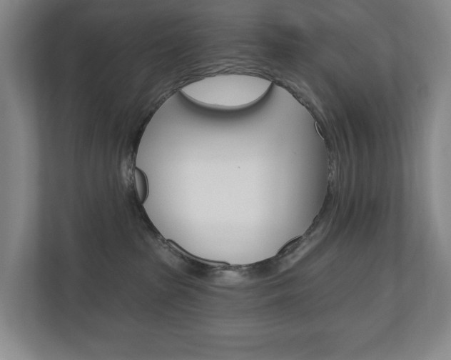 X0000110740285200906150935