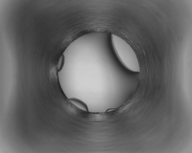 X0000110740286200906150935