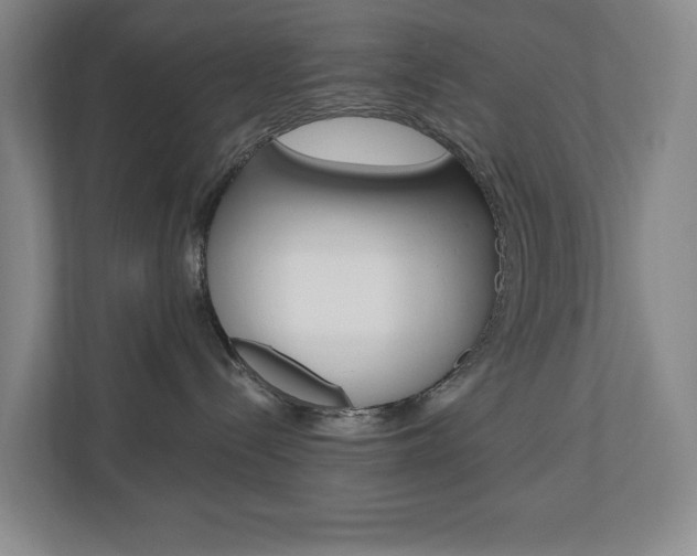 X0000110740288200906150935