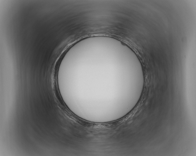 X0000110740290200906150934