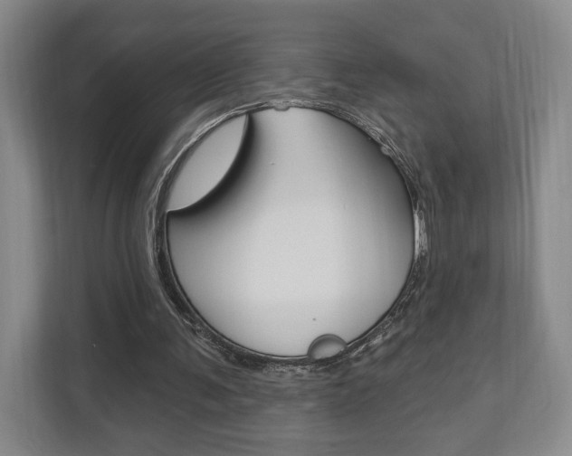 X0000110740291200906150934