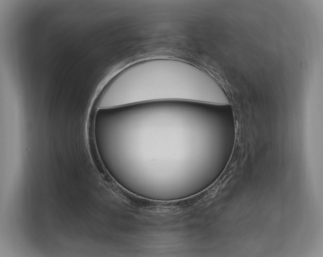 X0000110740292200906150934