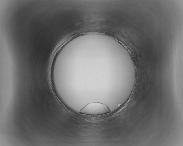X0000110740293200906150934