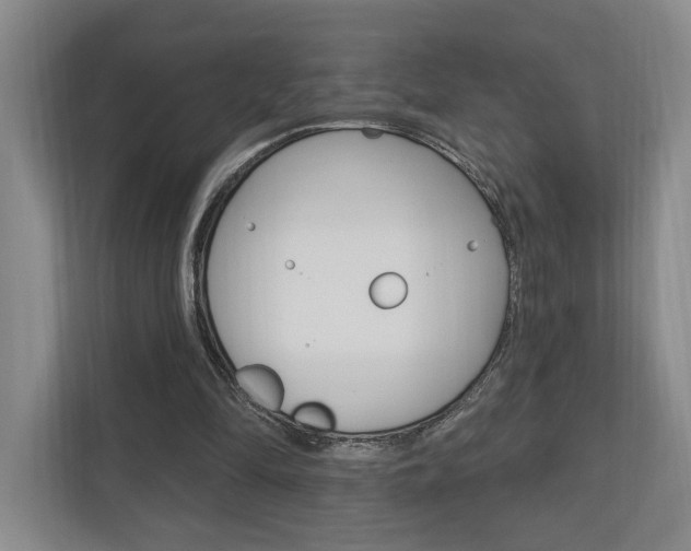 X0000110740294200906150934