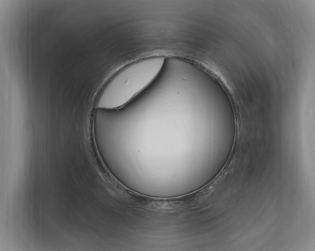 X0000110740297200906150934