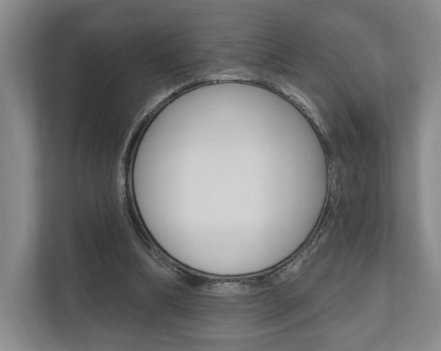 X0000110740298200906150934