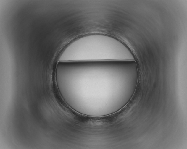 X0000110740299200906150934