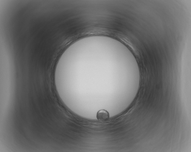 X0000110740309200906150934