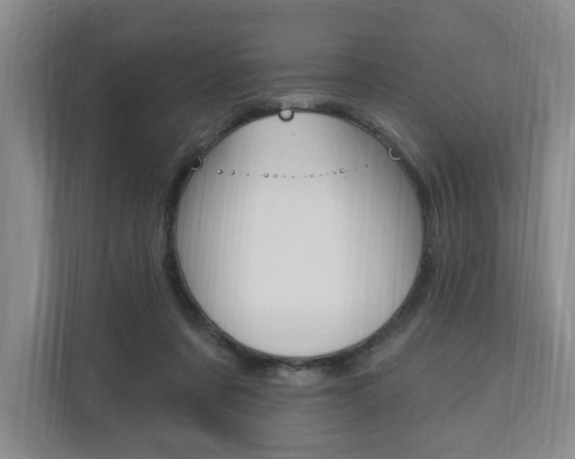X0000110740311200906150934