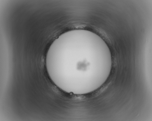 X0000110740321200906150934