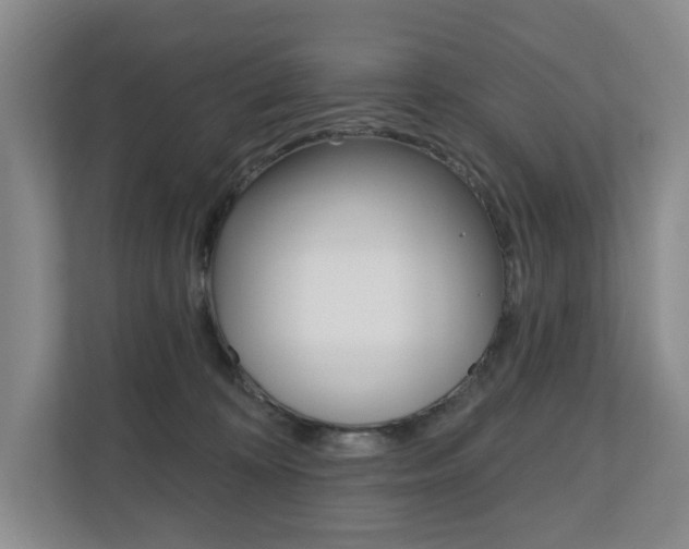 X0000110740324200906150934