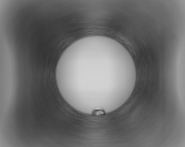 X0000110740325200906150934