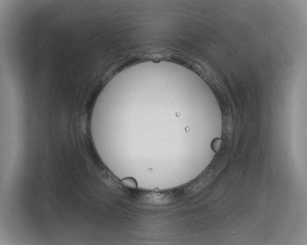 X0000110740326200906150934