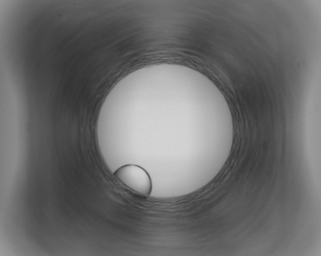 X0000110740328200906150934
