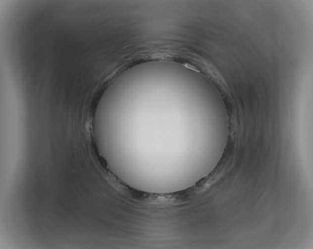 X0000110740329200906150934