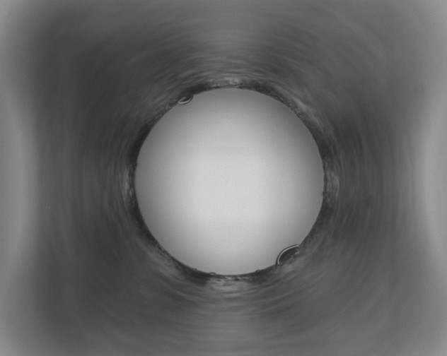 X0000110740331200906150934