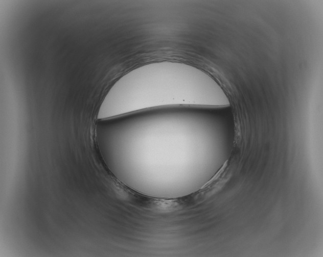 X0000110740333200906150934