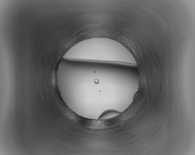 X0000110740335200906150934
