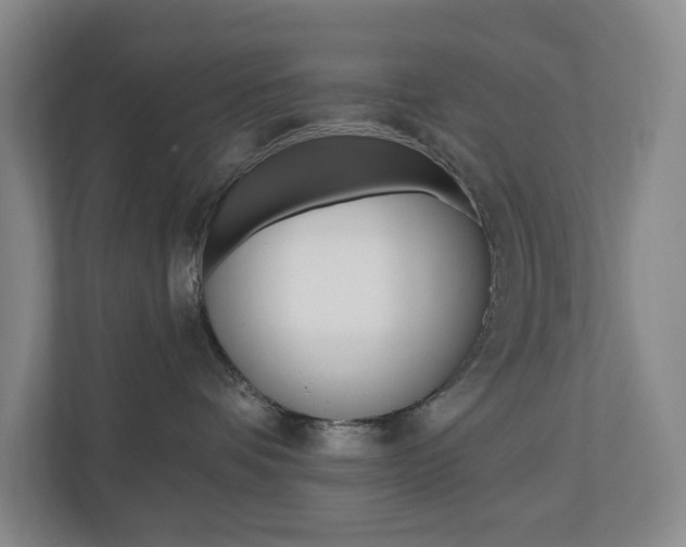 X0000110740336200906150934