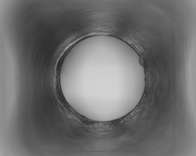 X0000110740338200906150933
