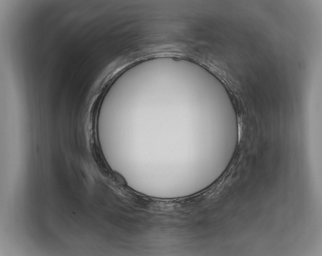 X0000110740339200906150933