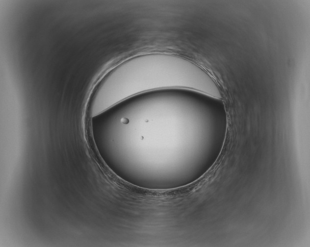 X0000110740340200906150933