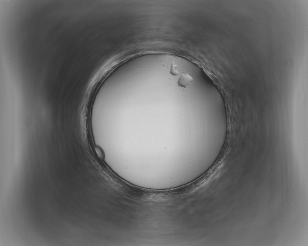 X0000110740341200906150933