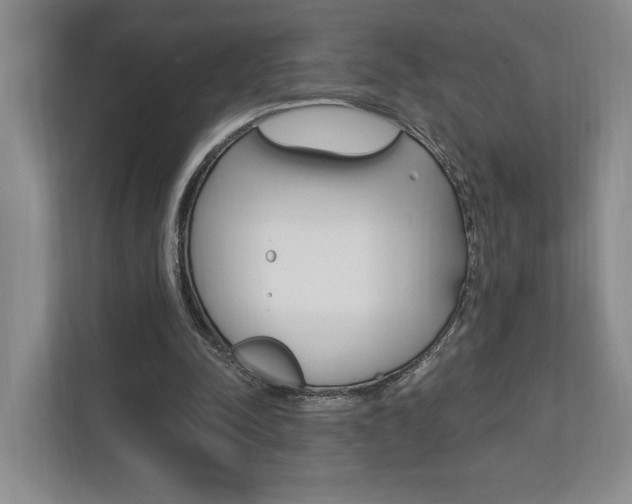 X0000110740342200906150933