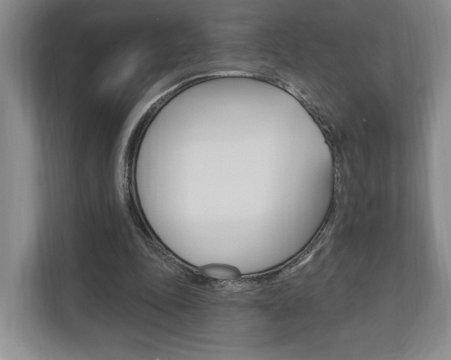 X0000110740343200906150933