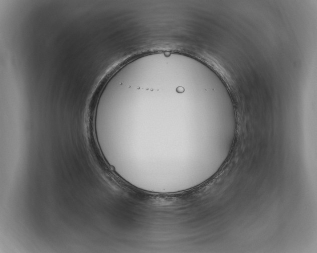 X0000110740346200906150933
