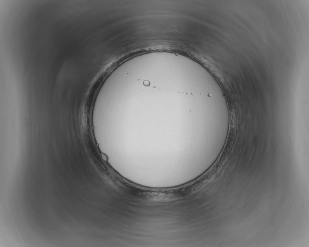X0000110740347200906150933