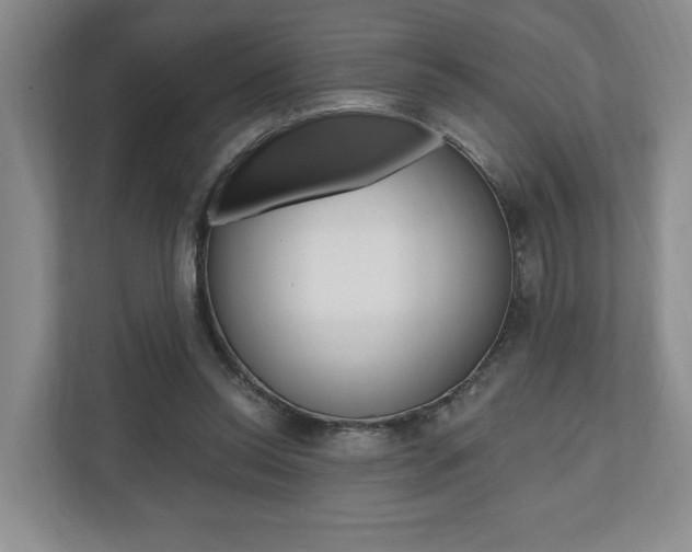 X0000110740350200906150933