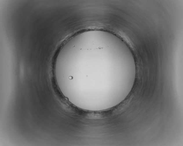 X0000110740354200906150933