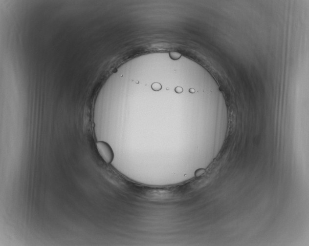 X0000110740361200906150933