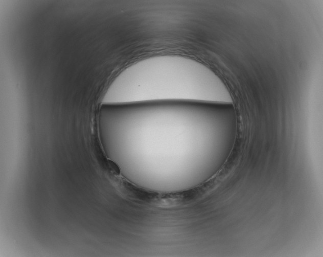 X0000110740368200906150934