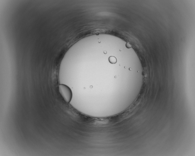 X0000110740369200906150934