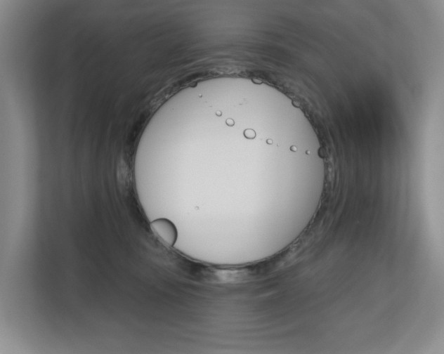 X0000110740371200906150934